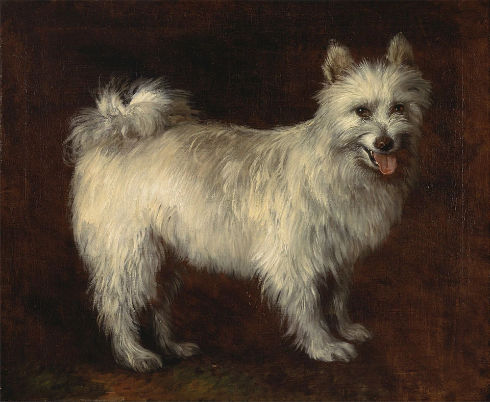Cane Spitz - Yale Center for British Art, New Haven